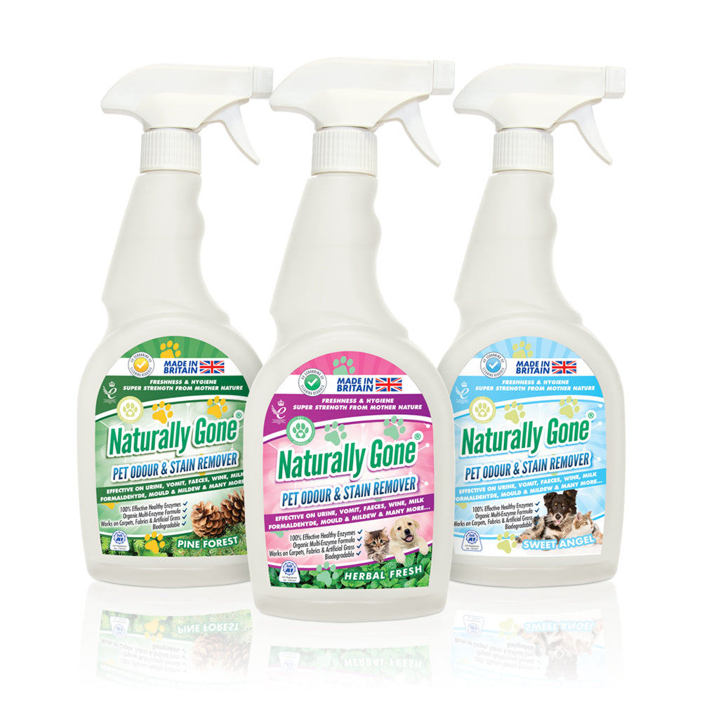 Airpure Naturally Gone - Odour & Stain Remover